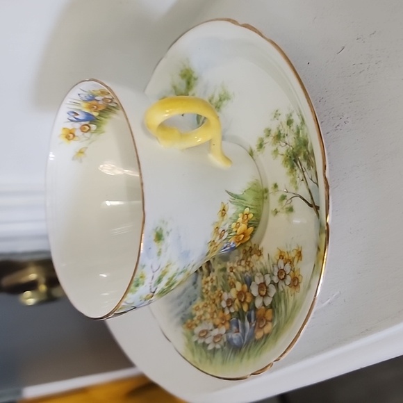 Shelley Bonę China, Daffodil Time Cup and Saucer, very rare collectible - Picture 7 of 8